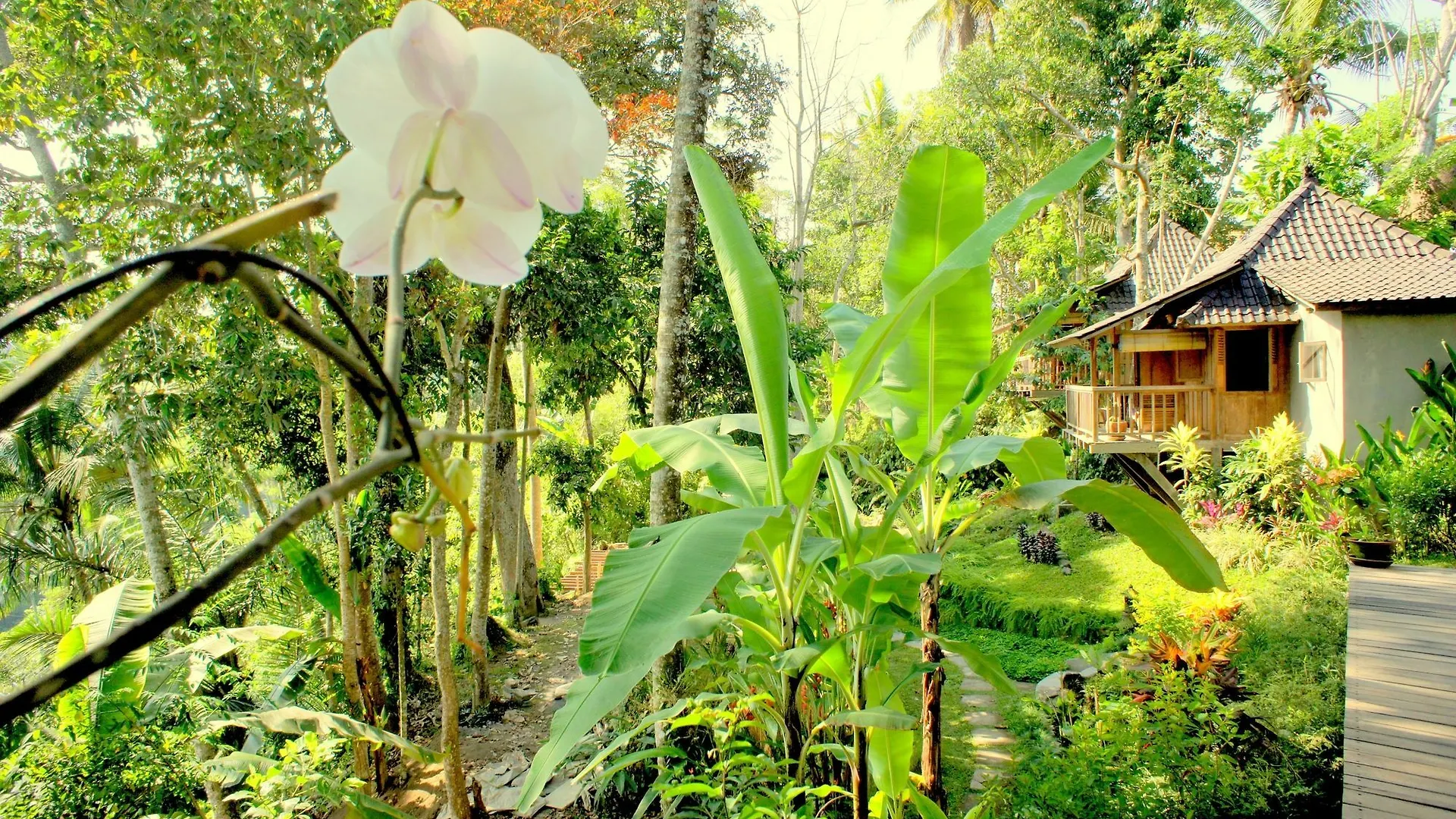 Prashanti Ubud Hotel Ubud (Bali)